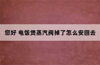 您好 电饭煲蒸汽阀掉了怎么安回去